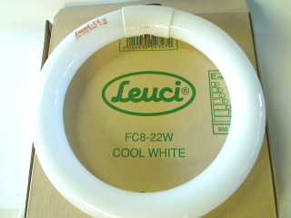 Lysstofrør i Ring 22W Cool White - Klik for mere information...